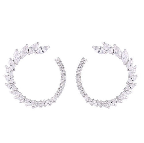 Boucles d'oreilles cercle